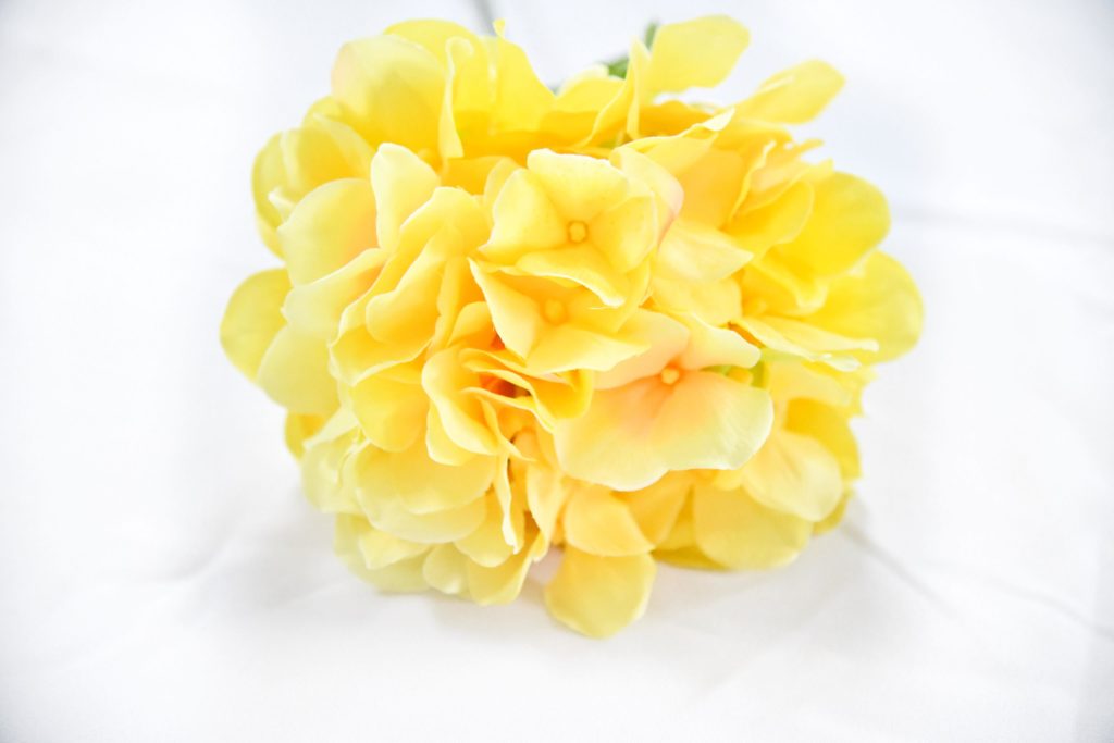 How to Make a Summer Floral Wreath (Step-by-Step Guide) yellow hydrangea stem
