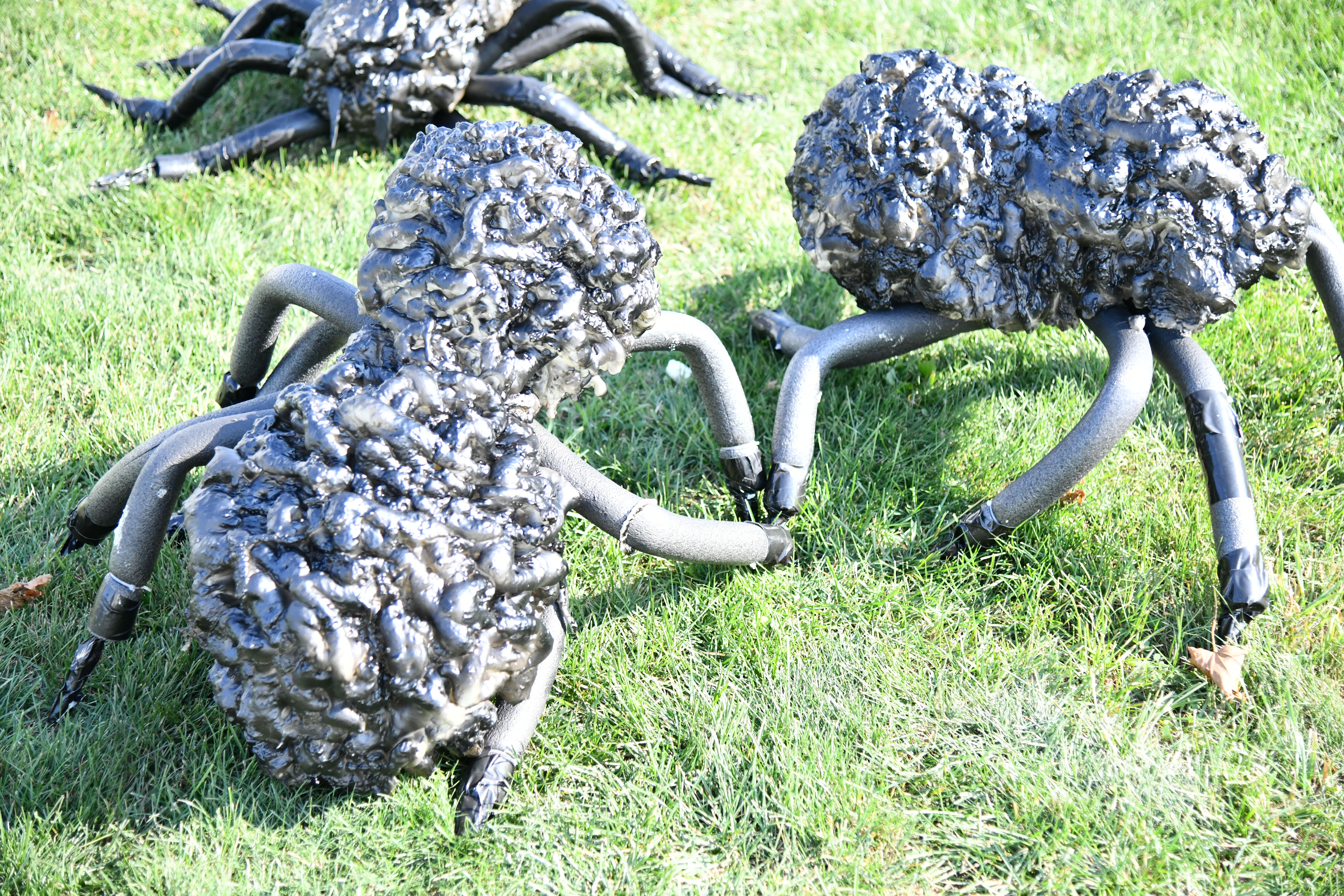 DIY Halloween Spider forms standing on grass spray painted all black