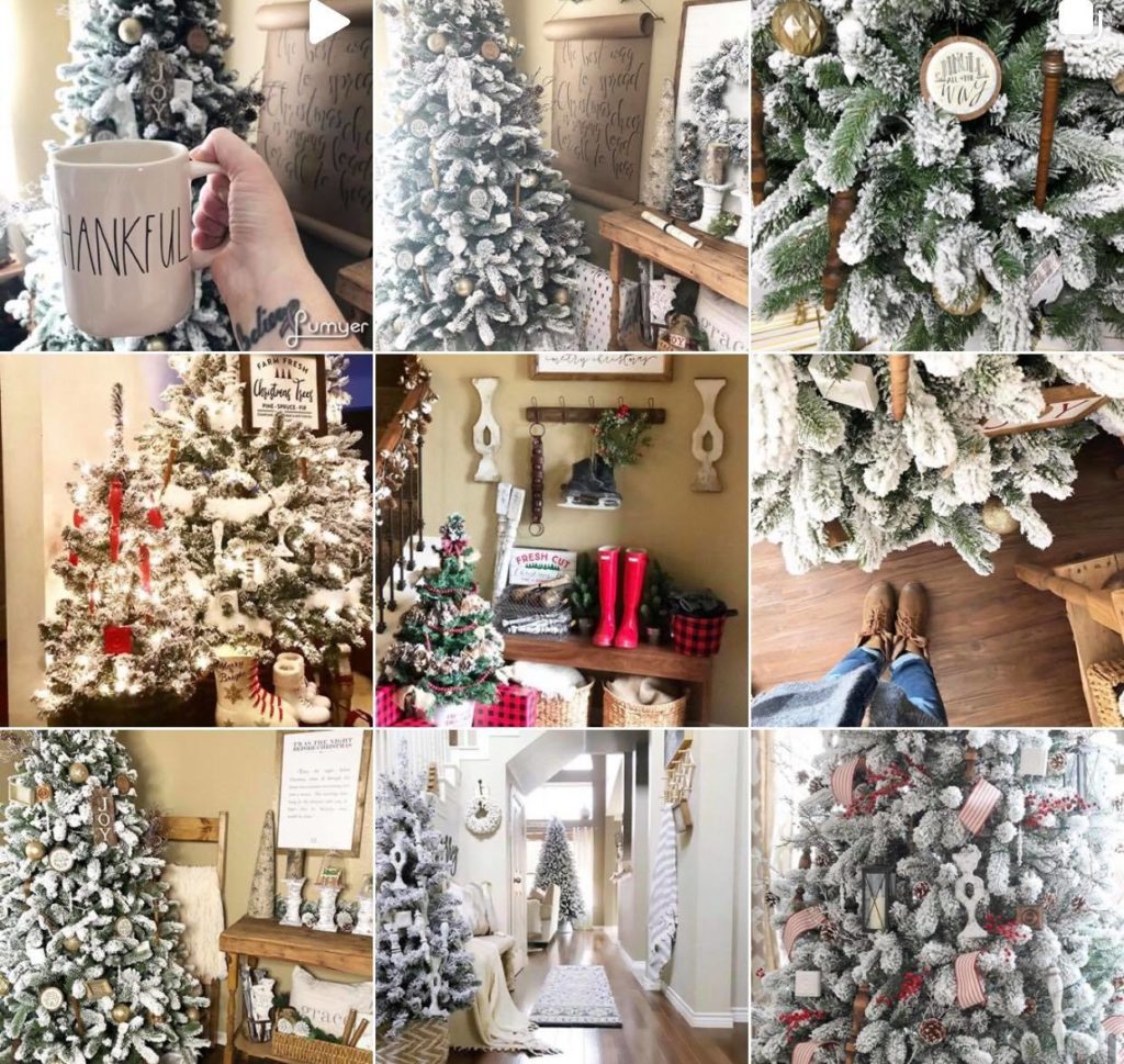 My first instagram collage of photos of Christmas trees