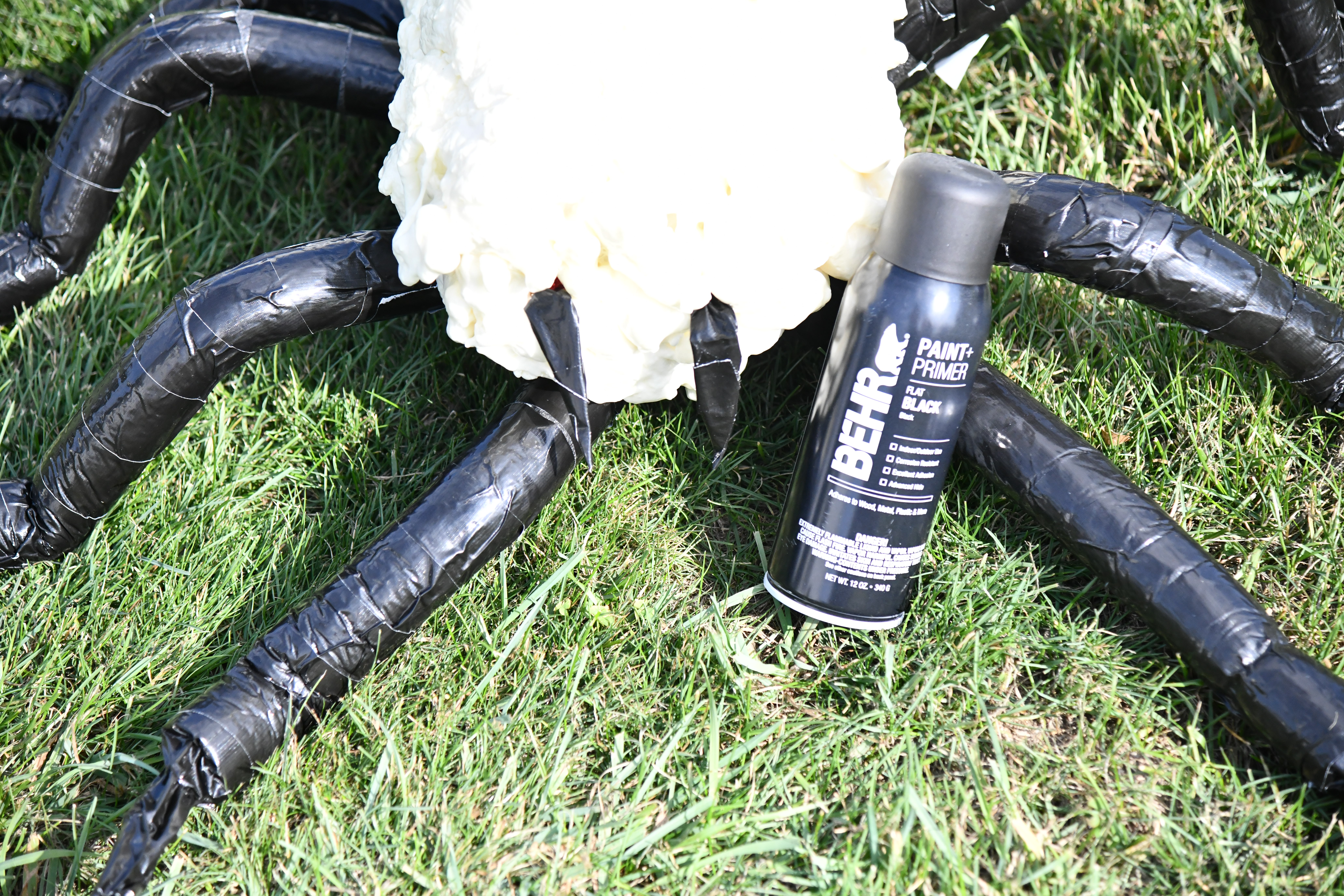 Spider form on grass with all legs duct taped with can of black Behr spray paint laying next to it. 