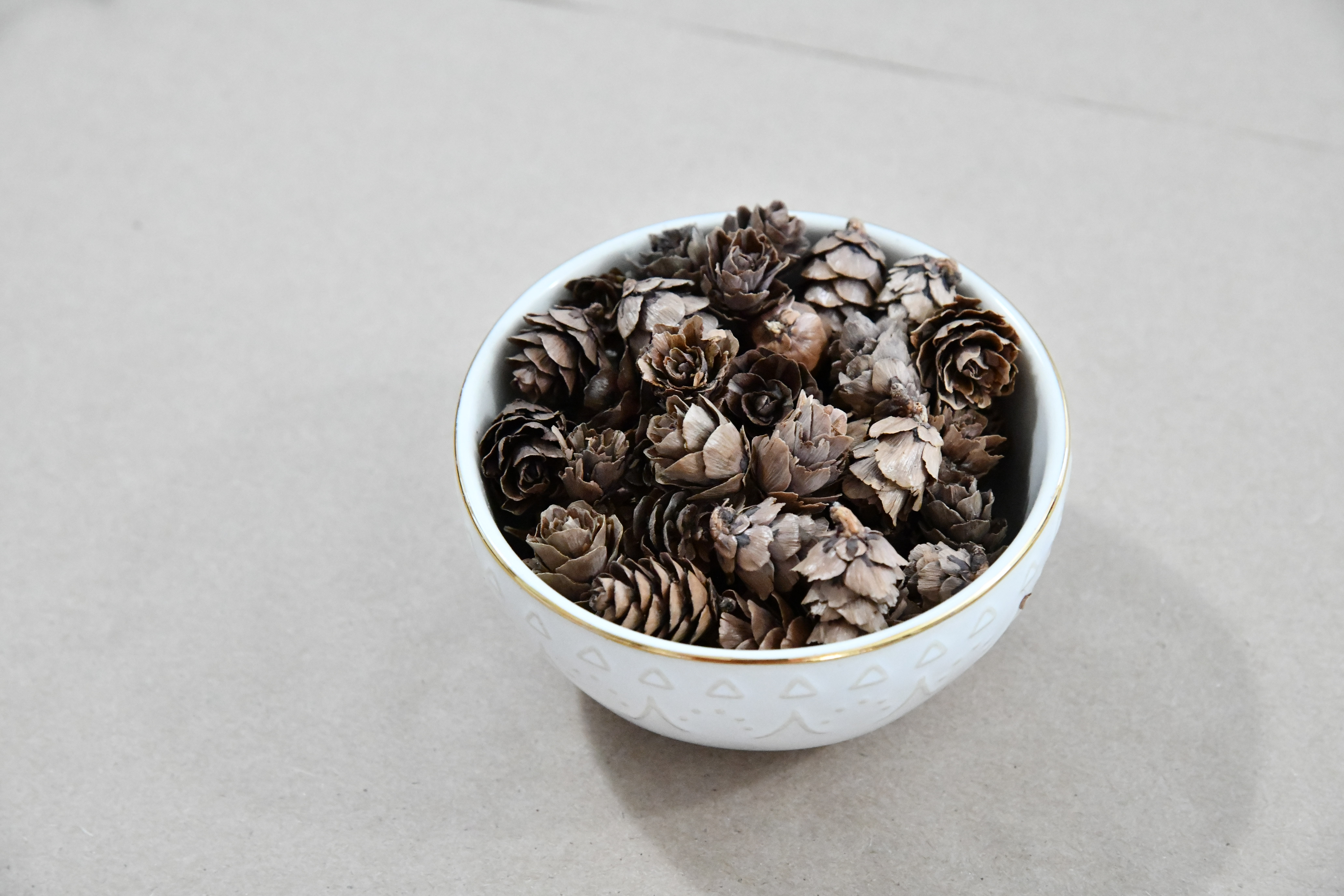 Pinecones in bowl