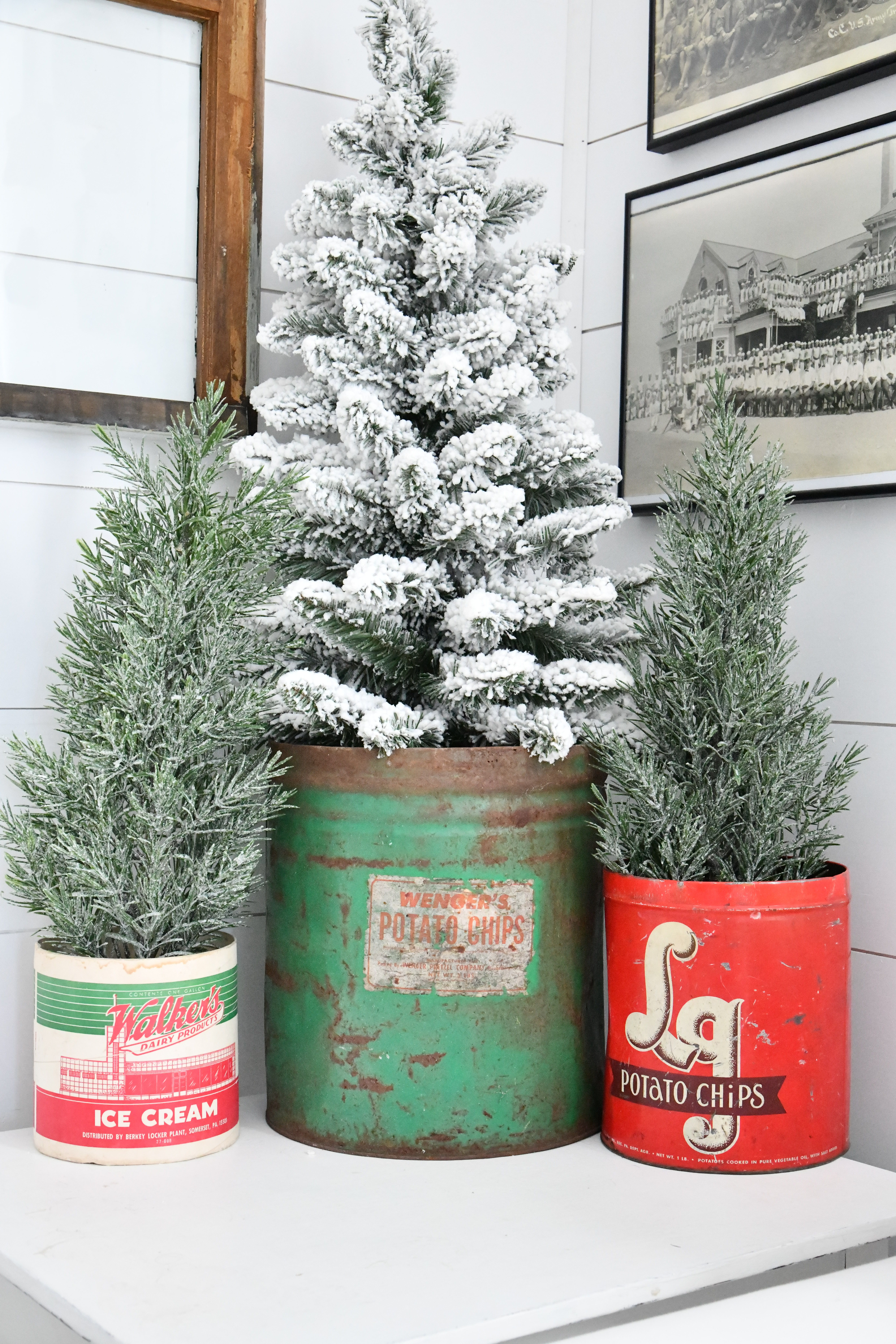 Vintage Christmas Tree Stands 3 tins on table with trees in them