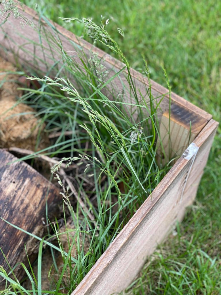 5 Ways To Clean Up Your Garden For Summer weeds