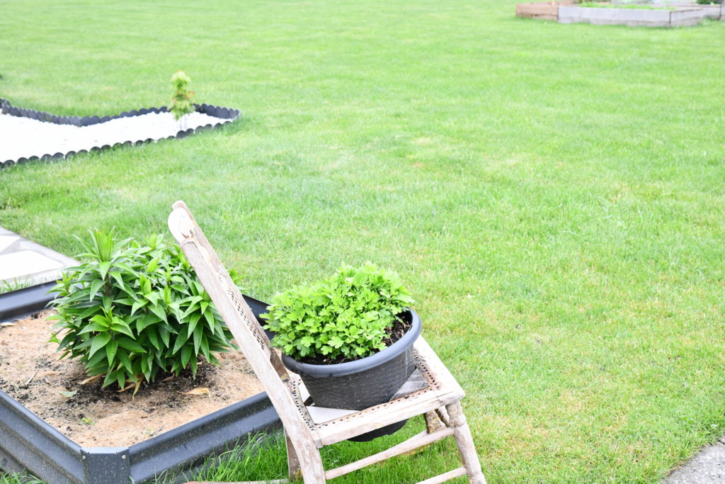 7 Ways To Get Your Yard Ready for Summer side view