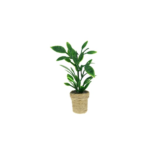 DIY Modern Mini™ Green Plant in Basket Pot
