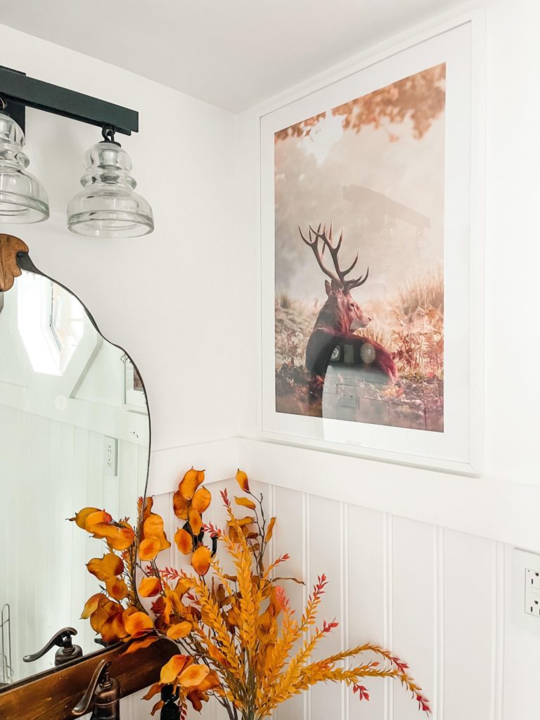 photo in farmhouse bathroom of fall deer and landscape